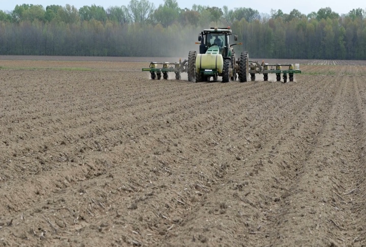 Corn planting nearly complete in Louisiana